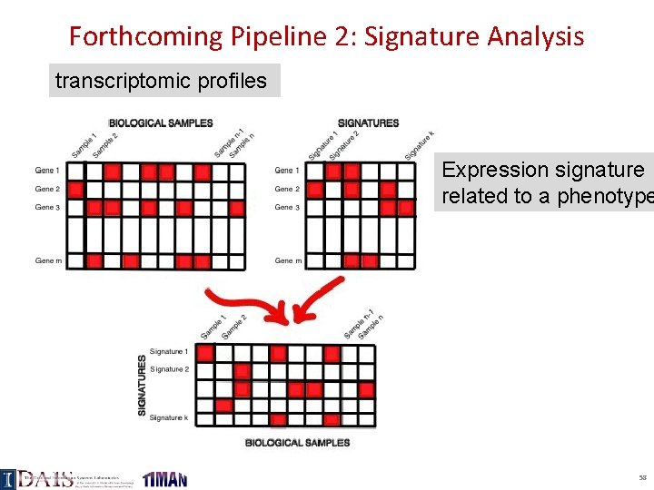 Forthcoming Pipeline 2: Signature Analysis transcriptomic profiles Expression signature related to a phenotype 58