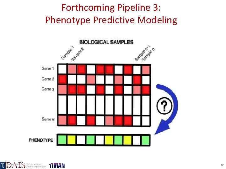Forthcoming Pipeline 3: Phenotype Predictive Modeling 59 