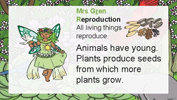 Mrs Gren Reproduction All living things reproduce. Animals have young. Plants produce seeds from