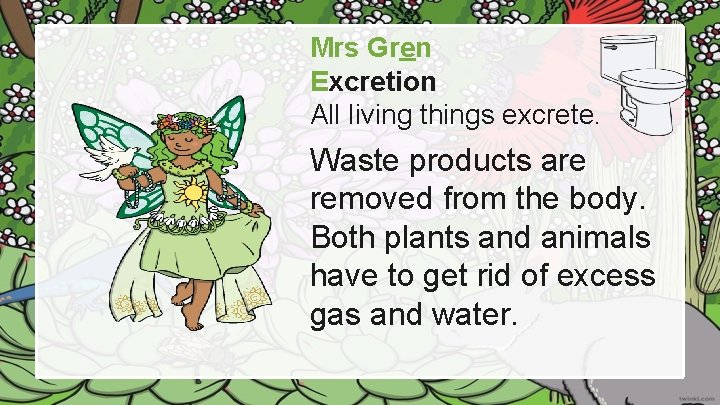 Mrs Gren Excretion All living things excrete. Waste products are removed from the body.