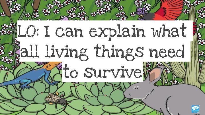 LO: I can explain what all living things need to survive 