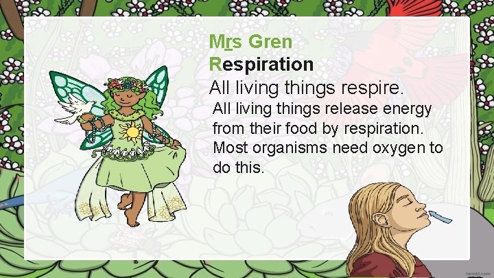 Mrs Gren Respiration All living things respire. All living things release energy from their