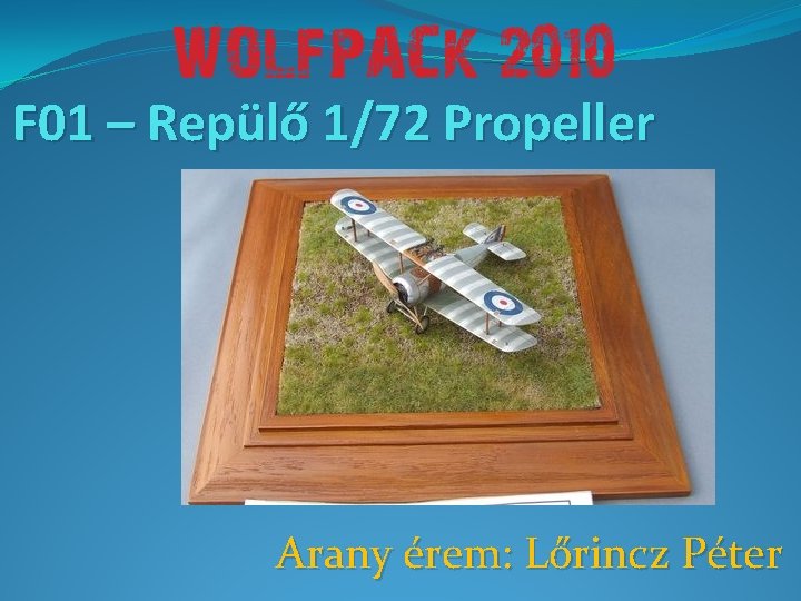 F 01 – Repülő 1/72 Propeller Arany érem: Lőrincz Péter 