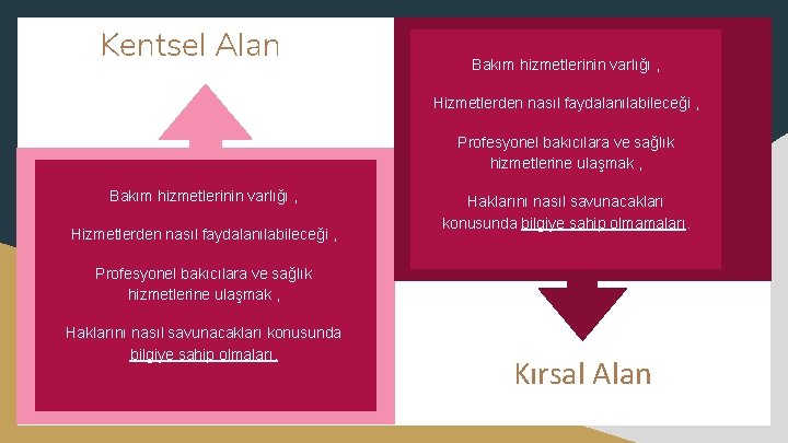 Kentsel Alan Bakım hizmetlerinin varlığı , Hizmetlerden nasıl faydalanılabileceği , Profesyonel bakıcılara ve sağlık