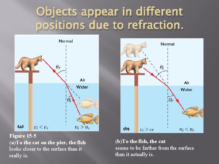 Objects appear in different positions due to refraction. Figure 15 -5 (a)To the cat