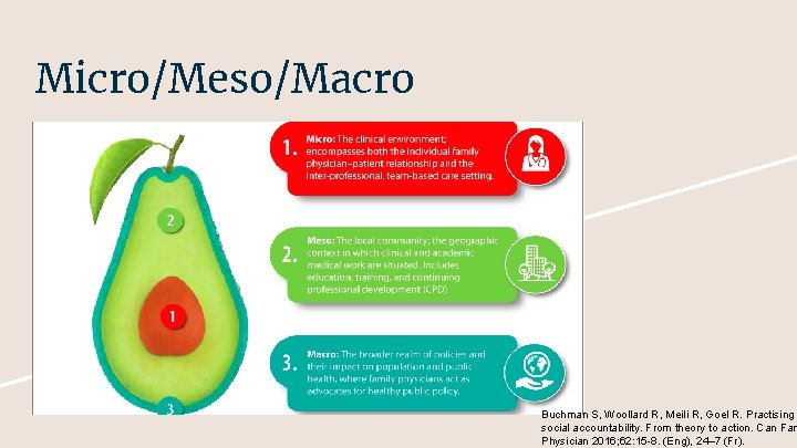 Micro/Meso/Macro Buchman S, Woollard R, Meili R, Goel R. Practising social accountability. From theory Micro/Meso/Macro Buchman S, Woollard R, Meili R, Goel R. Practising social accountability. From theory