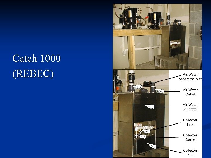 Catch 1000 (REBEC) 