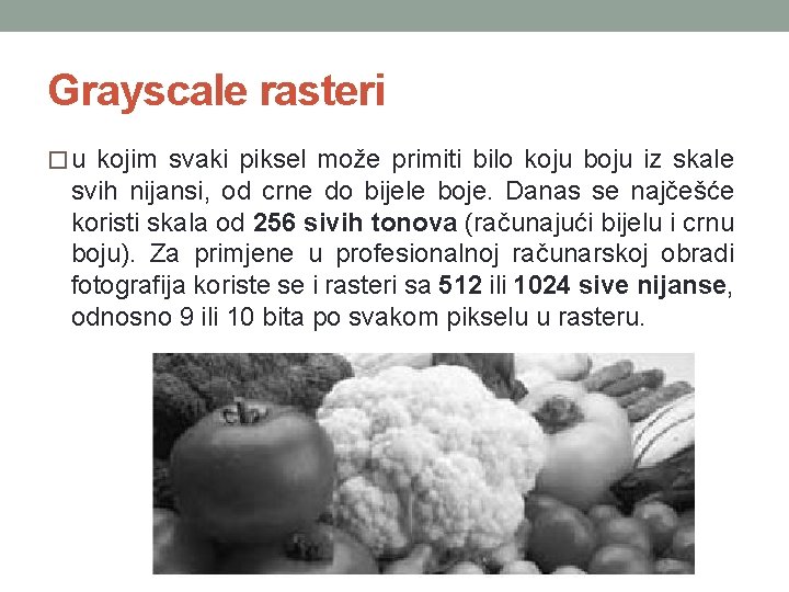 Grayscale rasteri � u kojim svaki piksel može primiti bilo koju boju iz skale