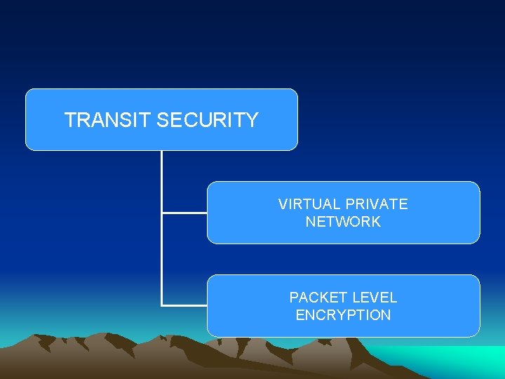 TRANSIT SECURITY VIRTUAL PRIVATE NETWORK PACKET LEVEL ENCRYPTION 