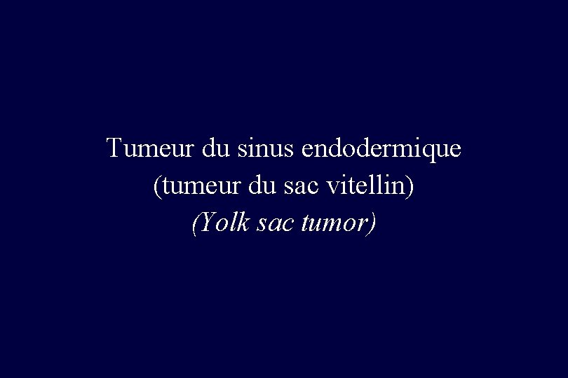 Tumeur du sinus endodermique (tumeur du sac vitellin) (Yolk sac tumor) 
