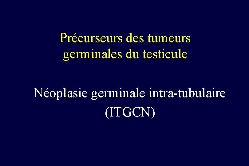 Précurseurs des tumeurs germinales du testicule Néoplasie germinale intra-tubulaire (ITGCN) 