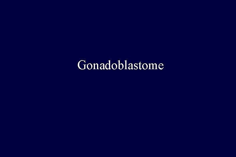 Gonadoblastome 