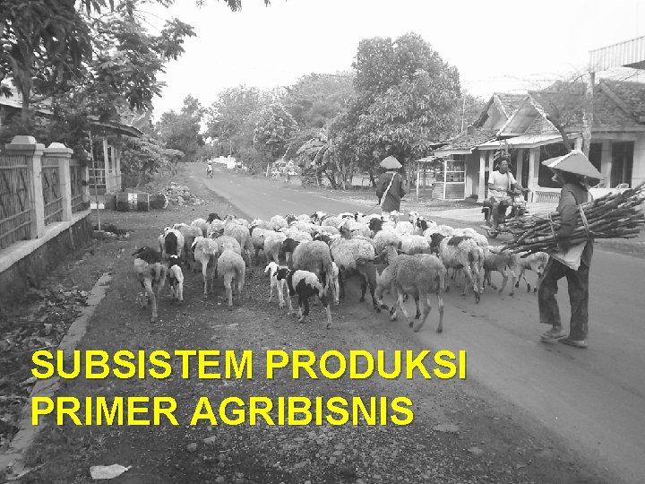 SUBSISTEM PRODUKSI PRIMER AGRIBISNIS 