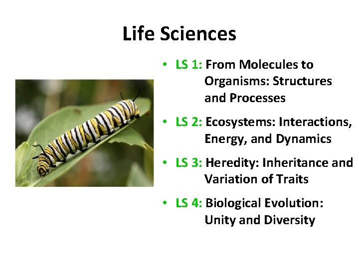 Life Sciences • LS 1: From Molecules to Organisms: Structures and Processes • LS