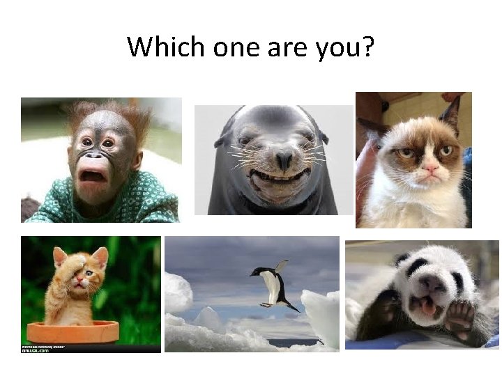 Which one are you? 
