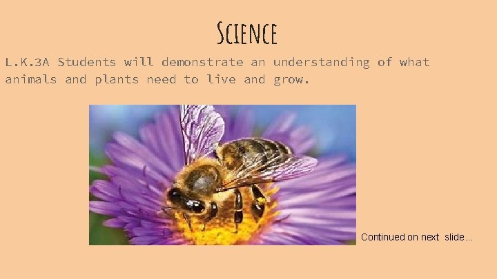 Science L. K. 3 A Students will demonstrate an understanding of what animals and