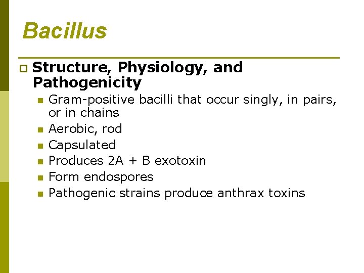 Bacillus p Structure, Physiology, and Pathogenicity n n n Gram-positive bacilli that occur singly,