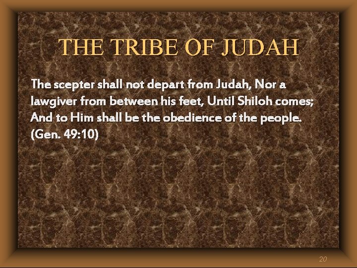 THE TRIBE OF JUDAH The scepter shall not depart from Judah, Nor a lawgiver THE TRIBE OF JUDAH The scepter shall not depart from Judah, Nor a lawgiver