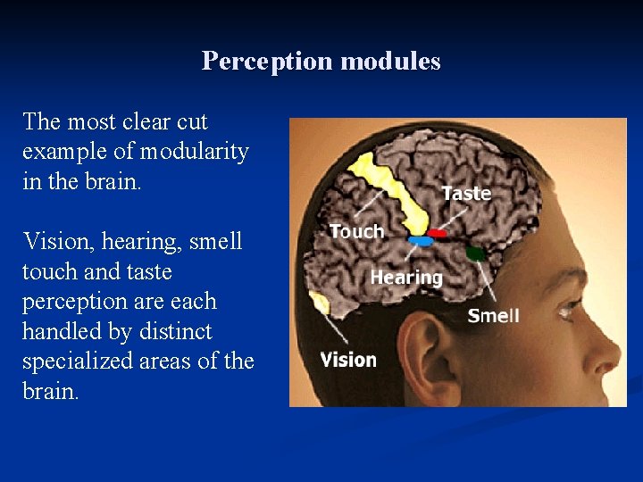 Perception modules The most clear cut example of modularity in the brain. Vision, hearing, Perception modules The most clear cut example of modularity in the brain. Vision, hearing,