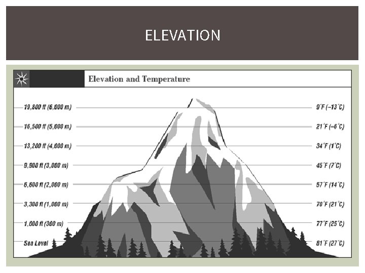 ELEVATION 