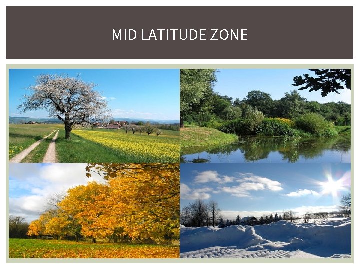 MID LATITUDE ZONE 