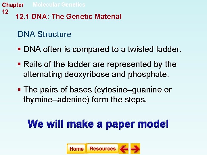Chapter 12 Molecular Genetics 12. 1 DNA: The Genetic Material DNA Structure § DNA Chapter 12 Molecular Genetics 12. 1 DNA: The Genetic Material DNA Structure § DNA