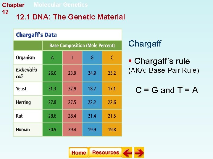 Chapter 12 Molecular Genetics 12. 1 DNA: The Genetic Material Chargaff § Chargaff’s rule Chapter 12 Molecular Genetics 12. 1 DNA: The Genetic Material Chargaff § Chargaff’s rule