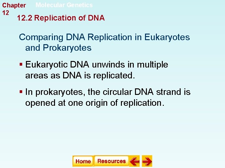 Chapter 12 Molecular Genetics 12. 2 Replication of DNA Comparing DNA Replication in Eukaryotes Chapter 12 Molecular Genetics 12. 2 Replication of DNA Comparing DNA Replication in Eukaryotes