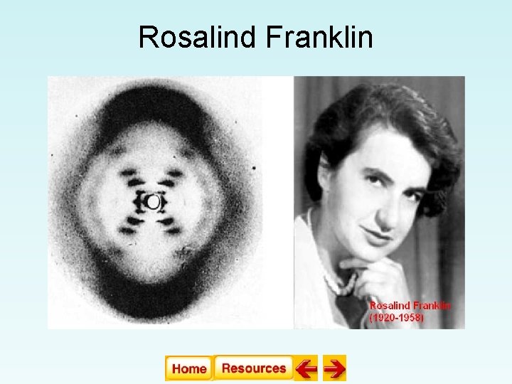 Rosalind Franklin Rosalind Franklin