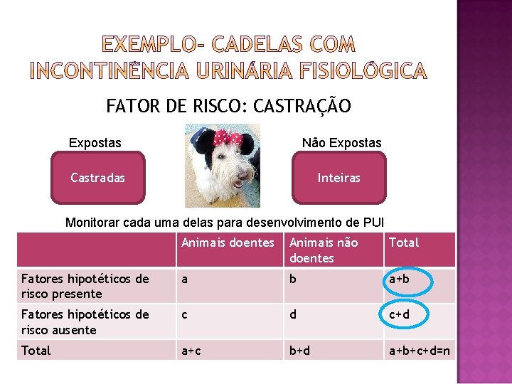 FATOR DE RISCO: CASTRAÇÃO Expostas Não Expostas Castradas Inteiras Monitorar cada uma delas para