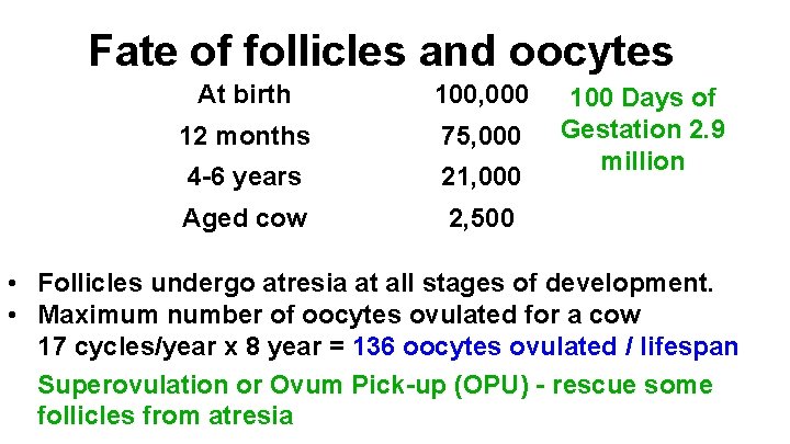 Fate of follicles and oocytes At birth 100, 000 12 months 75, 000 4