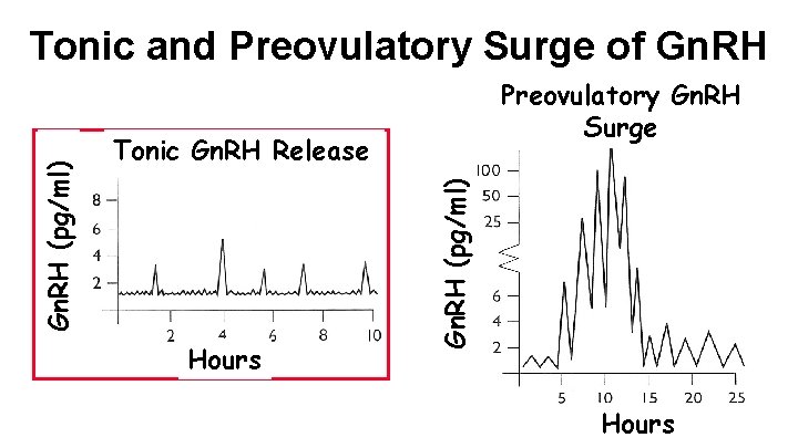 Preovulatory Gn. RH Surge Tonic Gn. RH Release Hours Gn. RH (pg/ml) Tonic and