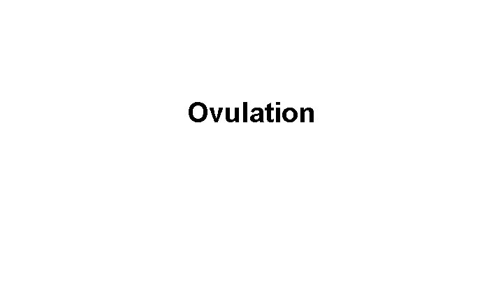 Ovulation 