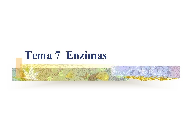 Tema 7 Enzimas 