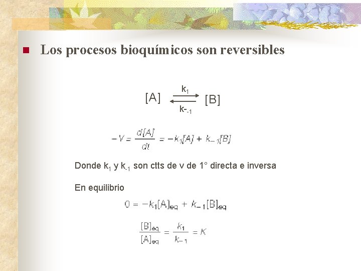 n Los procesos bioquímicos son reversibles [A] k 1 k--1 [B] Donde k 1