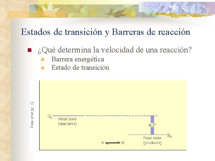 Estados de transición y Barreras de reacción n ¿Qué determina la velocidad de una