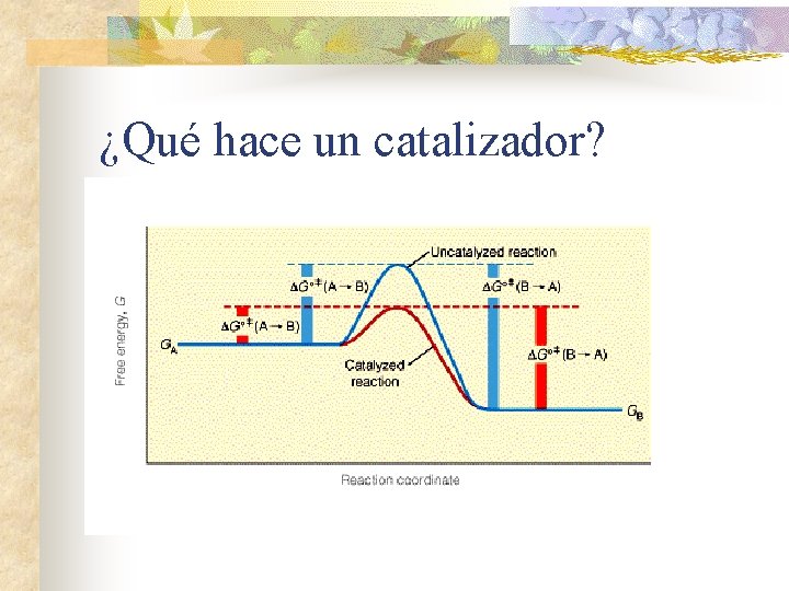 ¿Qué hace un catalizador? 