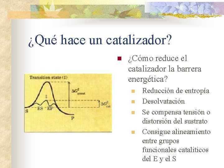 ¿Qué hace un catalizador? n ¿Cómo reduce el catalizador la barrera energética? n n