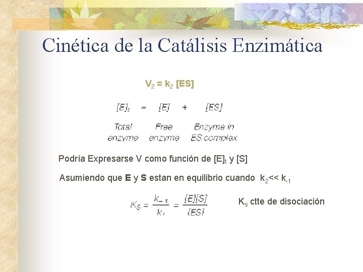 Cinética de la Catálisis Enzimática V 2 = k 2 [ES] Podría Expresarse V