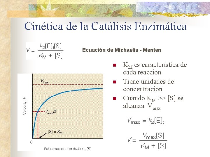 Cinética de la Catálisis Enzimática Ecuación de Michaelis - Menten n KM es característica