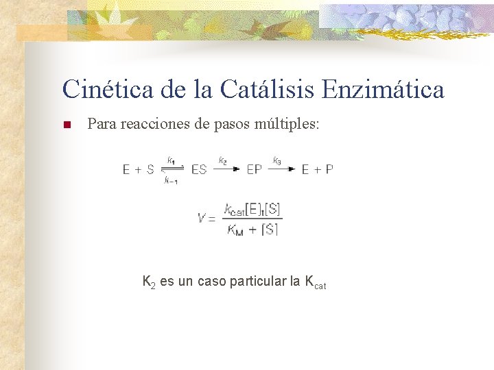 Cinética de la Catálisis Enzimática n Para reacciones de pasos múltiples: K 2 es