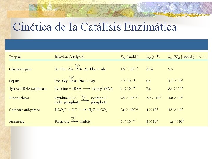 Cinética de la Catálisis Enzimática 