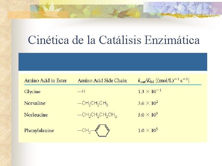 Cinética de la Catálisis Enzimática 