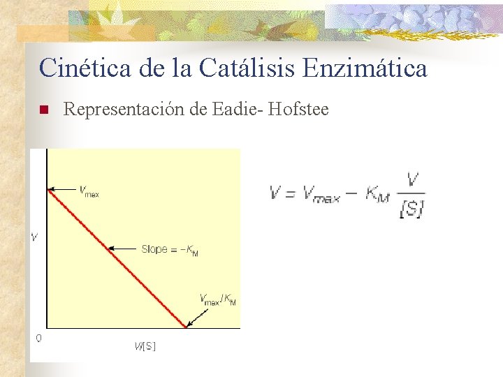 Cinética de la Catálisis Enzimática n Representación de Eadie- Hofstee 