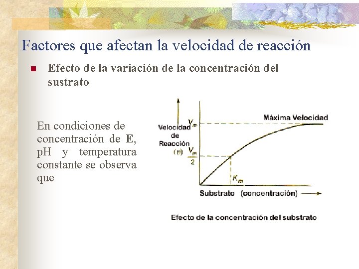 Factores que afectan la velocidad de reacción n Efecto de la variación de la