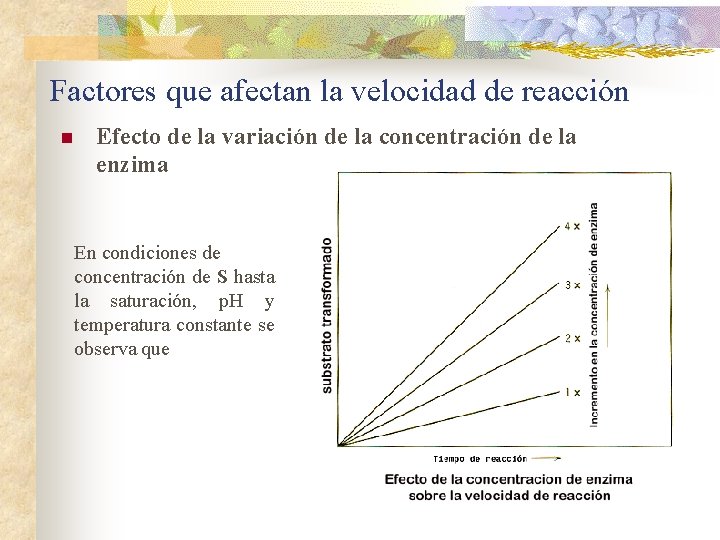 Factores que afectan la velocidad de reacción n Efecto de la variación de la