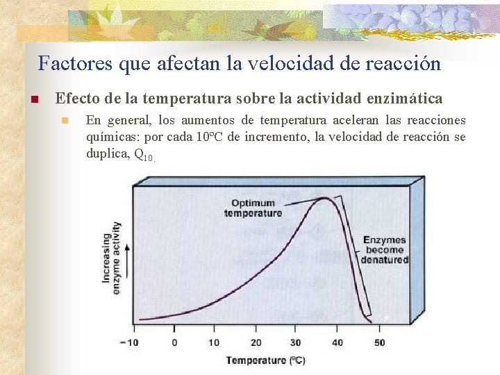 Factores que afectan la velocidad de reacción n Efecto de la temperatura sobre la