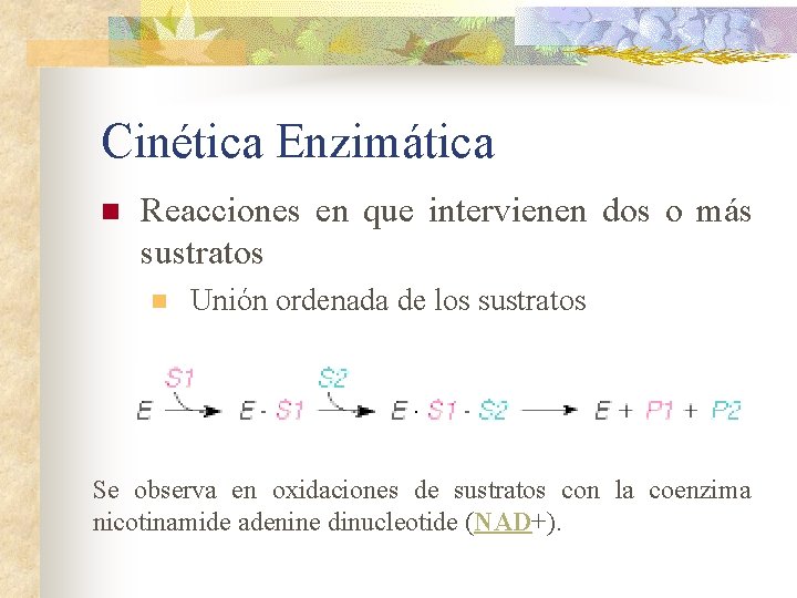 Cinética Enzimática n Reacciones en que intervienen dos o más sustratos n Unión ordenada