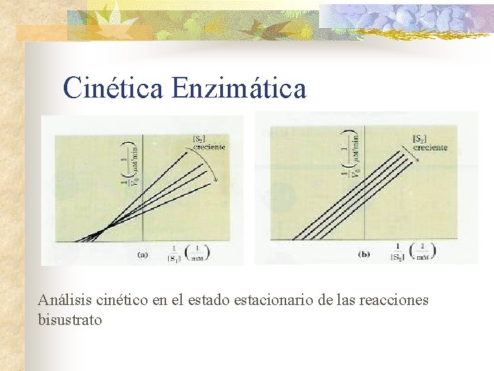 Cinética Enzimática Análisis cinético en el estado estacionario de las reacciones bisustrato 