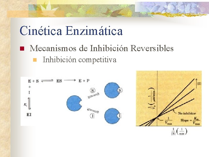 Cinética Enzimática n Mecanismos de Inhibición Reversibles n Inhibición competitiva 